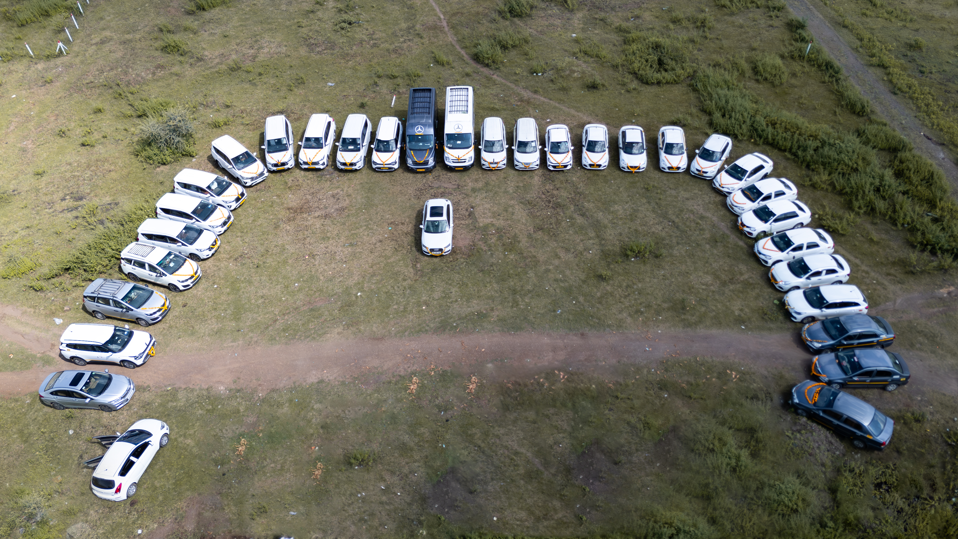 Rental Cars
